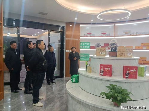 金寨生态旅游 老区舌尖美食 谦尚实业举办旅游产品美食品鉴会