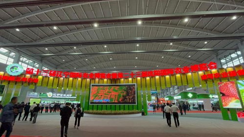 全国368个老字号品牌共展风采 上海中华老字号博览会启幕