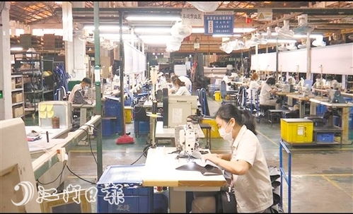 江门新闻 江门新闻网.江门综合门户网站